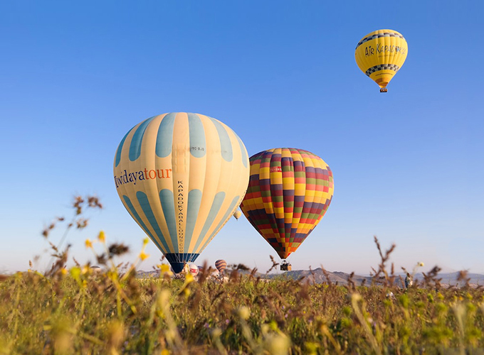 我們相信：中電電機終將成為業內領先，世界知名的大型現代企業