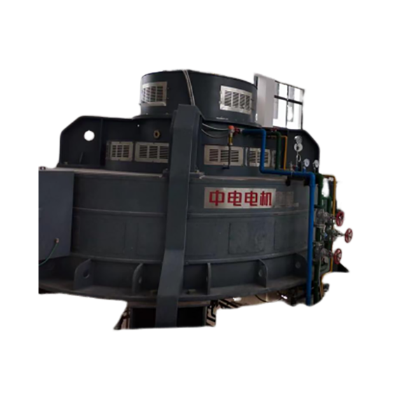 大型水泵用立式同步電動機